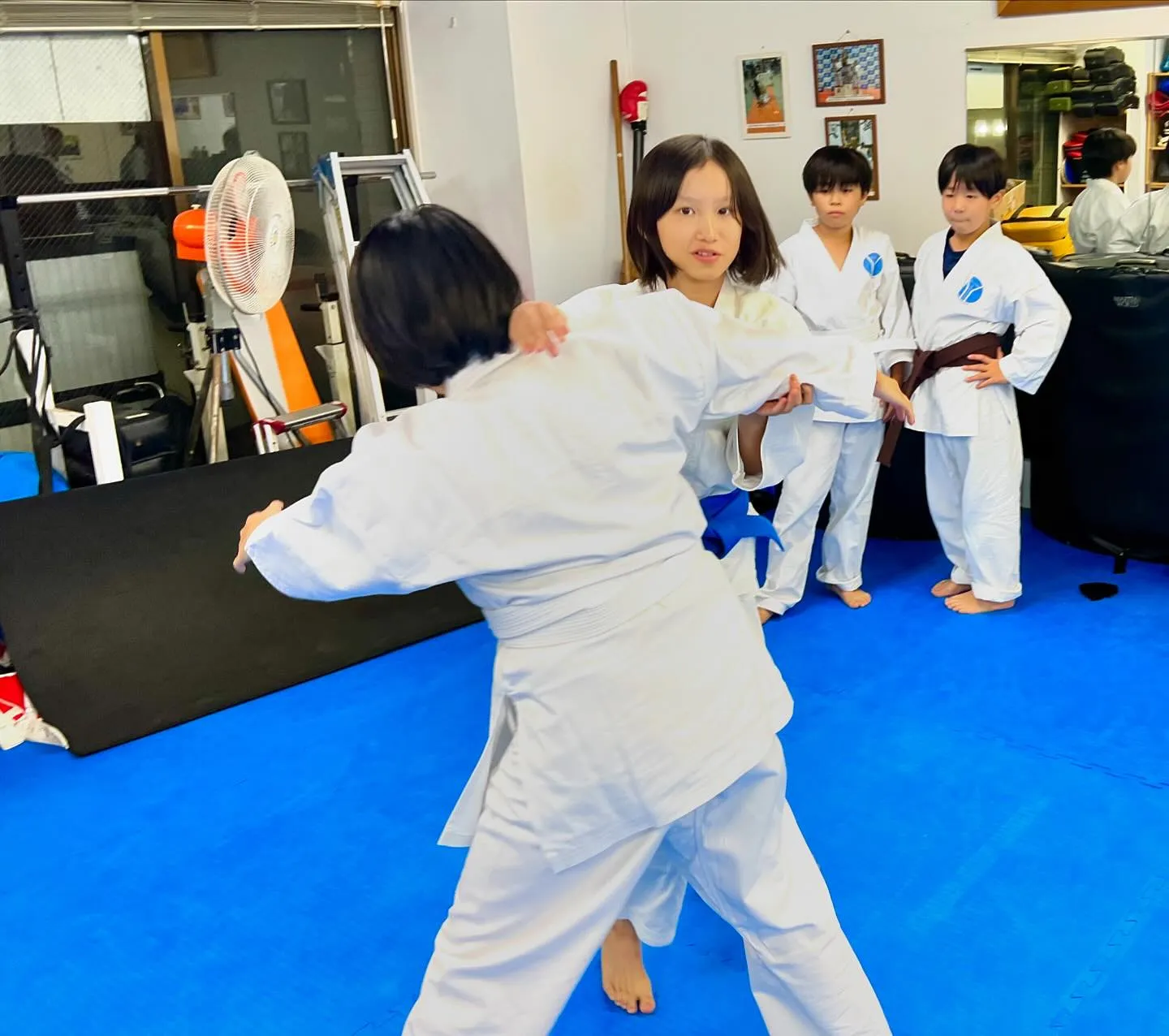 【 神戸】合気女子| Shin-Kobe 実戦合気武道